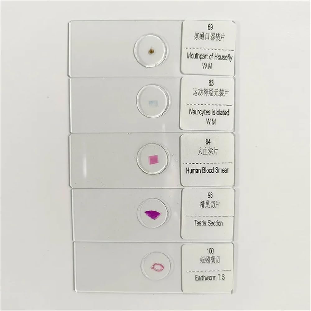 Accessori per microscopi Vetrini for microscopio Vetrini for microscopio biologico Vetrini for campioni in vetro Vetrini for microscopio preparati for la formazione degli studenti Durata e prestazioni
