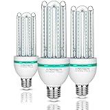 LED Light Bulbs 24W,ANMIEN 220Watt Light Bulbs with 6000K Daylight E27/E26 Socket,2370 Lumens Not-Dimmable Led Corn Bulb for Home Lighting Decorative(3PACK)