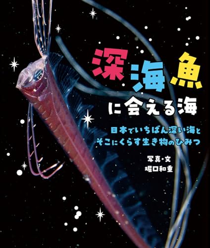 深海魚に会える海