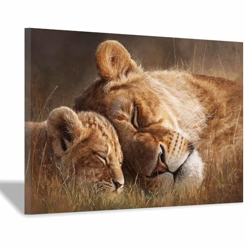 Toile lion se reposant encadree de qualite superieure marron15 format 70x100cm pour interieur