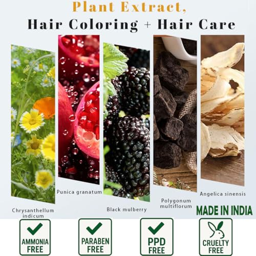Image of Adbeni Natural Black Hair Color Shampoo with Conditioner for Men & Women | 5 Minute Grey Coverage | Ammonia Free, No Harsh PPD | Herbal Hair Dye Shampoo | 25ml x 10 Sachets