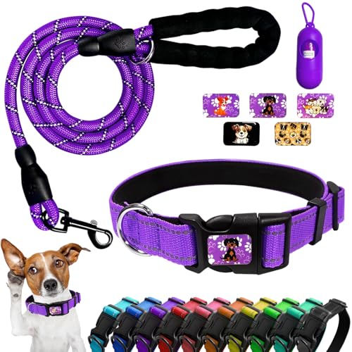 Mauts Pet Dog Collars and Lead Set for Large Medium Small Dogs. (3 Pcs) (Purple Large)