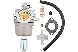 Genuine Briggs and Stratton Carburetor for 17.5hp