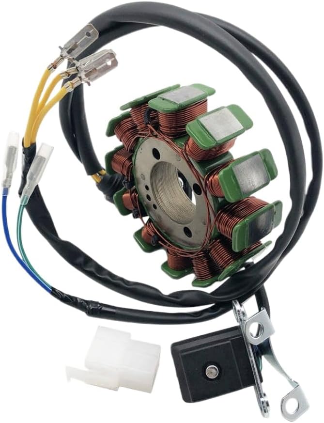 12-Coil 5-Wire Ignition Stator Magneto Replacement for Haili SP307-J XY250ST-9 STIXE Compatible with 31101-100-0000