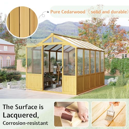 Jocisland 6x8x6.5 Ft Wooden Greenhouse, Pre-Assembled Solid Cedar Frame, Walk-in Design, Lockable Door, Adjustable Roof Vents, Polycarbonate Panels for Outdoor, Garden, Backyard - Image 2
