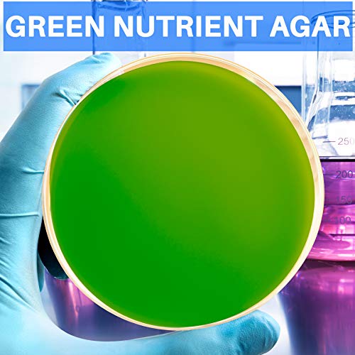 Evviva Sciences Colorful Nutrient Agar Kit - 15 Prepoured Nutrient Agar Petri Dishes - Red, Green, & Blue Agar Plates - Science Laboratory Project - Experiment Ebook - Learn Microbiology Now