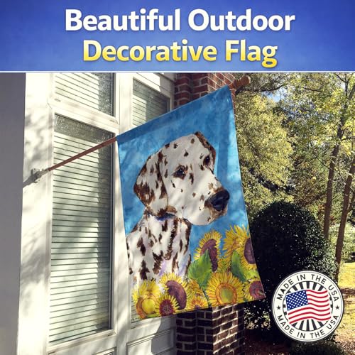 Drapeau dalmatien grand format SS4238CHF pour décoration extérieure - 4