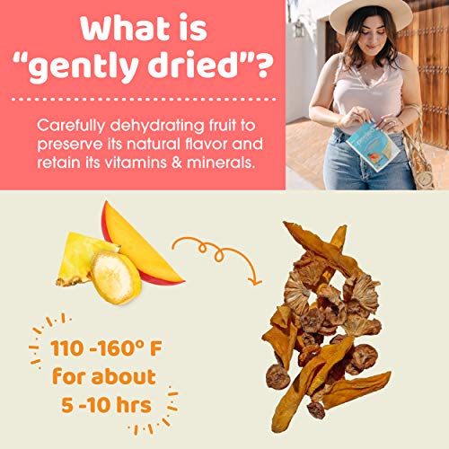 Peeled Snacks Organic Dried Fruit, Paradise Blend With Dried Mango, Pineapple And Banana, 2.8 Oz. – Healthy, Vegan Snacks For On-The-Go, Lunch And More #TOP4