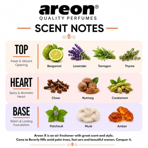 Image of AREON X Beverly Hills Paper Hanging Car Air Freshener - Pack of 12