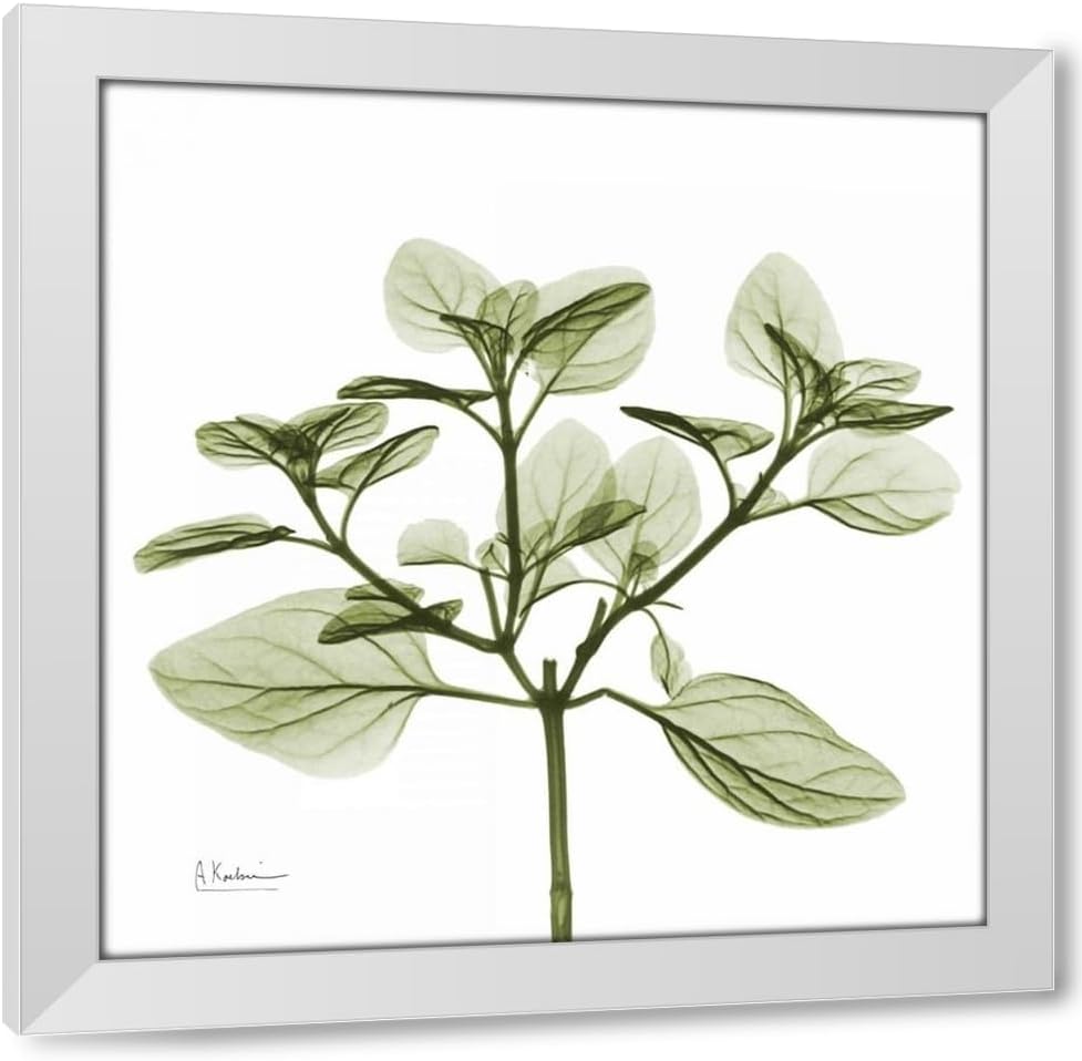 Koetsier, Albert 15x15 Black Ornate Framed and Double Matted Museum Art Print Titled Green Leaves in Bloom 2
