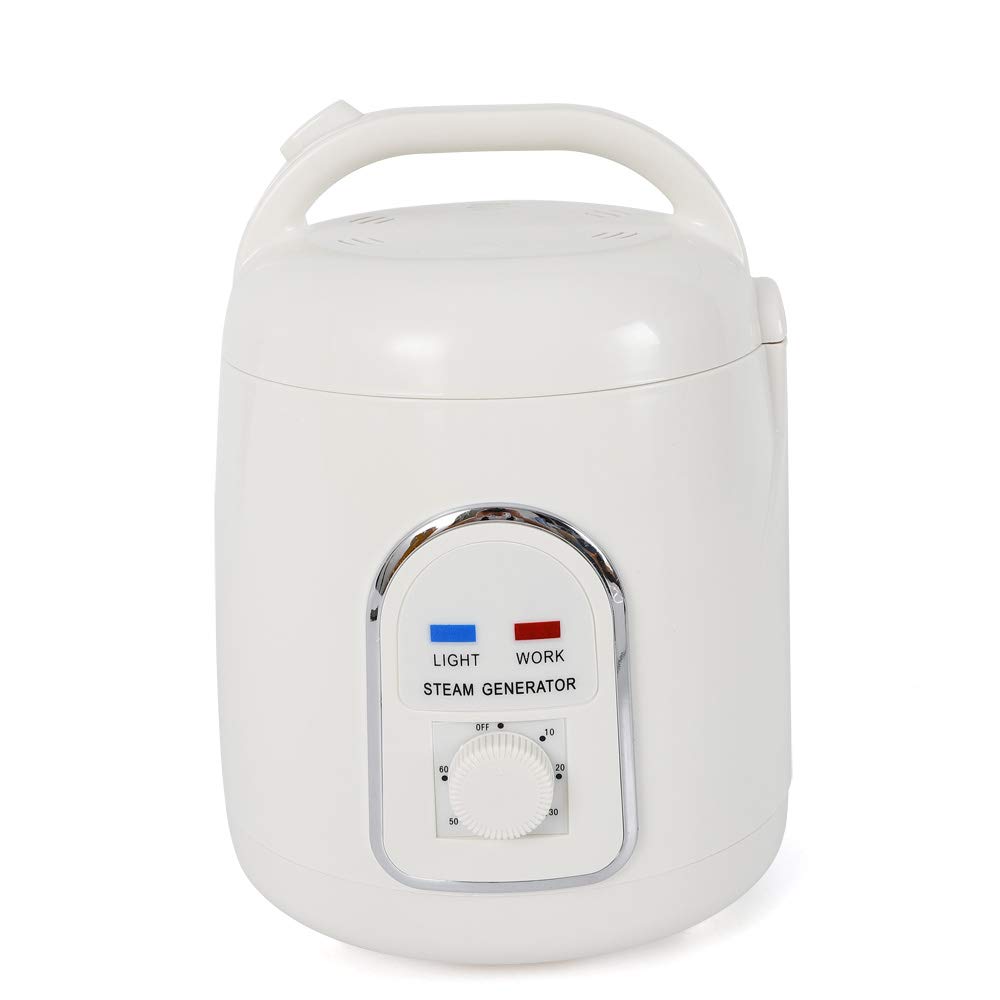 Generatore di vapore sauna SPA multifunzione a vapore pentola a vapore portatile timer vapore corpo terapia disintossicazione vapore con timer da 60 minuti per sauna a vapore cabina a vapore