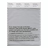Pantone Smart Swatch 14-4107 Quiet Gray