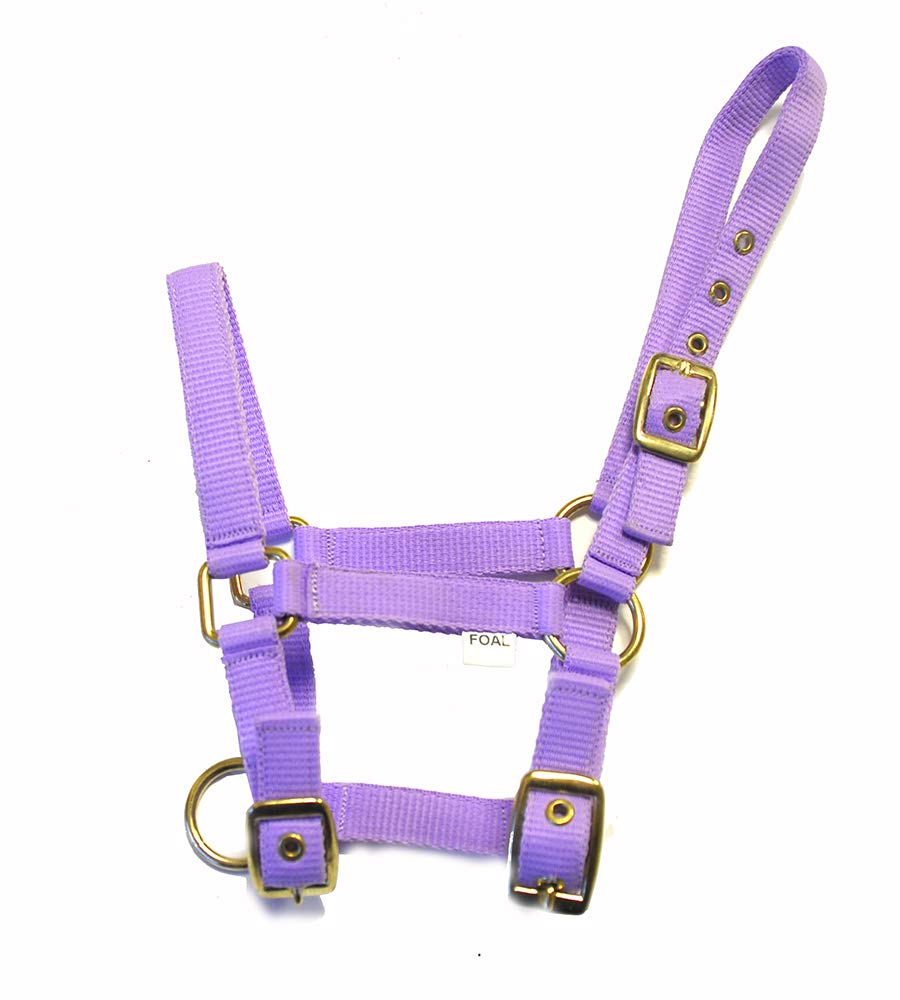 Rhinegold Nylon Foal Headcollar - Lilac
