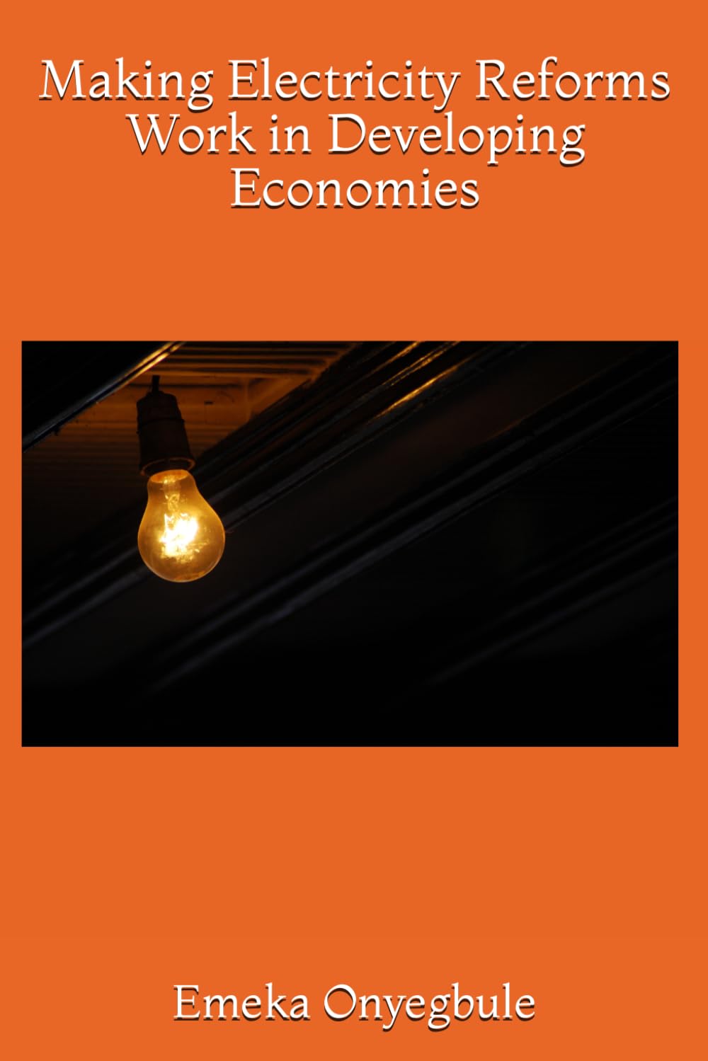 Making Electricity Reforms Work in Developing Economies
