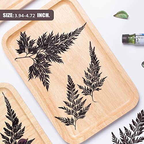 Hojas de helecho prensadas naturales para manualidades 42 pcs miniatura 7