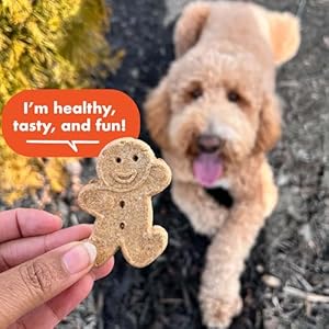 Buddy Biscuits 14 oz Box of Grain-Free Crunchy Dog Treats Made with Natural Peanut Butter Buddy Biscuits 14 oz Box of Grain Free Crunchy Dog Treats Made with Natural Peanut Butter