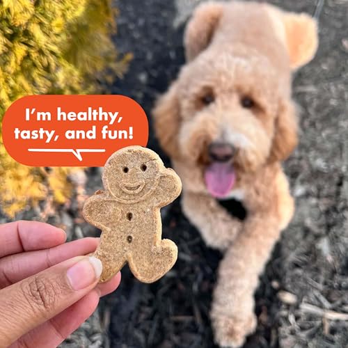 Buddy-Biscuits-14-oz-Box-of-Grain-Free-Crunchy-Dog-Treats-Made-with-Natural-Peanut-Butter Buddy Biscuits 14 oz Box of Grain Free Crunchy Dog Treats Made with Natural Peanut Butter