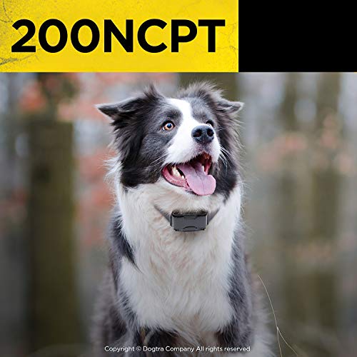 Dogtra 200NCPT Electronic Dog Training Collar with Remote for Small Dogs to Large Dogs - 2640 ft Range, Vibration, Tone… - Image 7