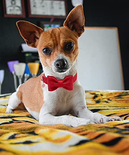 Image of DOGWONG Hemp Cotton Dog Collar with Bow, Christmas Red Pet Collar Durable Adjustable Puppy Collar for Small Medium Large Dogs
