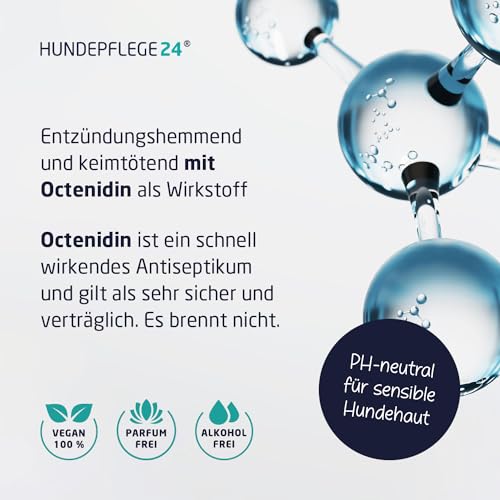 Hundepflege24 Anti Juckreiz Spray für Hunde 500ml - Akute Soforthilfe & wirksame Beruhigung bei Entzündung, Milben, Grasmilben, Pilzen, Flöhen - Haustierpflege Mittel gegen Juckreiz Hund