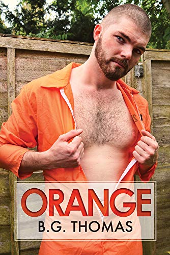 Orange view 2