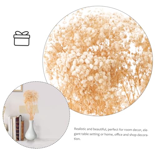 Arreglo de flores secas Realistico Babysbreath para decoración miniatura 3