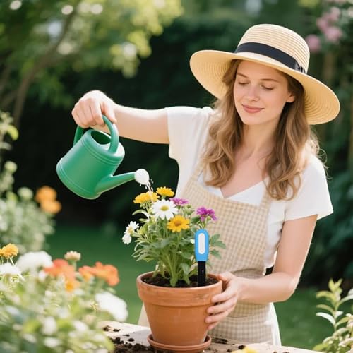 Humidimètre pour sol et pelouse avec sonde commutable précise à piles