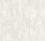 Vinyltapete (Trägermaterial: Vlies) - 10,05 m (Länge) x 0,53 m (Breite) - 5,33 qm