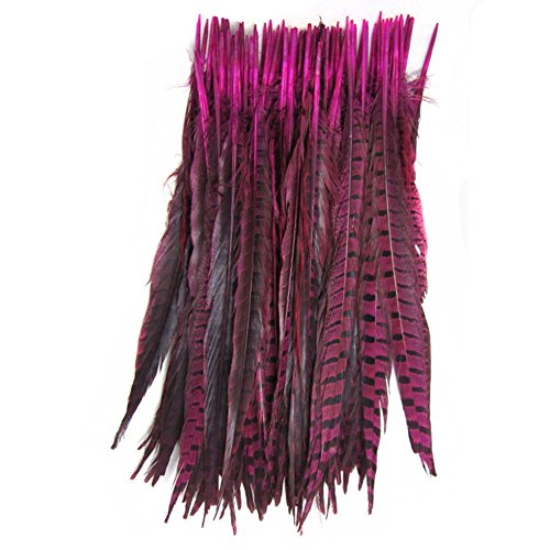 KOLIGHT Set of 20pcs Natural Dyed Pheasant Tails Feathers 14-16 Inch DIY Decoration (Fuchsia)