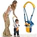 New Belt Moon Baby Walker - Learn To Walk Assistant/Helper-Orange and blue
