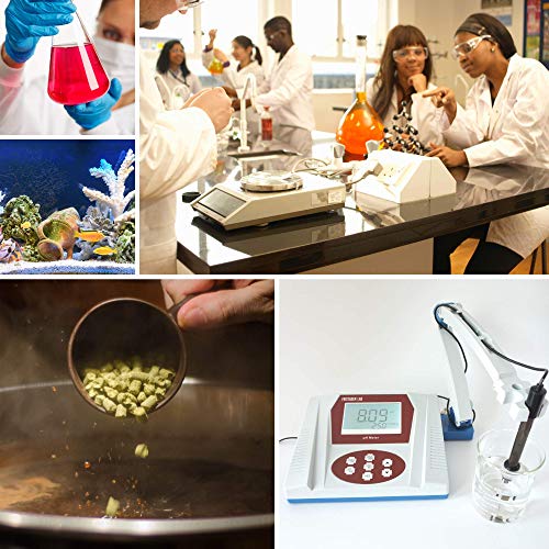Fristaden Lab Benchtop Ph Meter, 0.01 Ph Accuracy | Scientific Ph Meter For Wine, Beer And More, Digital Bench Top Ph Meter And Electrode #TOP4