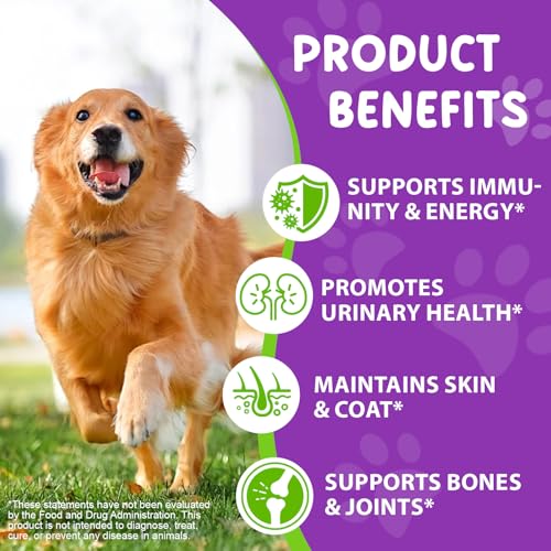 15 in 1 Multivitamintropfen für Hunde, 60 ml tägliche Vitamine für Hunde, hilft bei Hüfte und Gelenken, Immunsystem, Haut, Fell und Darmgesundheit