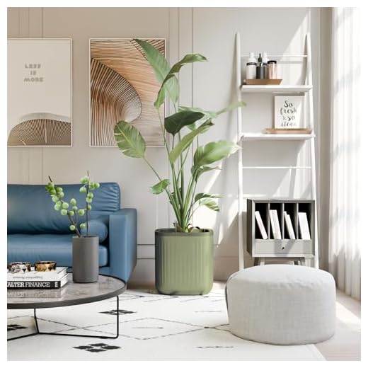 Self-Watering Pots for Indoor Plant Care