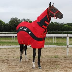 Winter paarden opkomst deken herfst en winter paardenjas met katoen om warme en afneembare sjaal sjelprofessional paardenspanbeschermingsuitrusting te houden