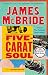 Five-Carat Soul