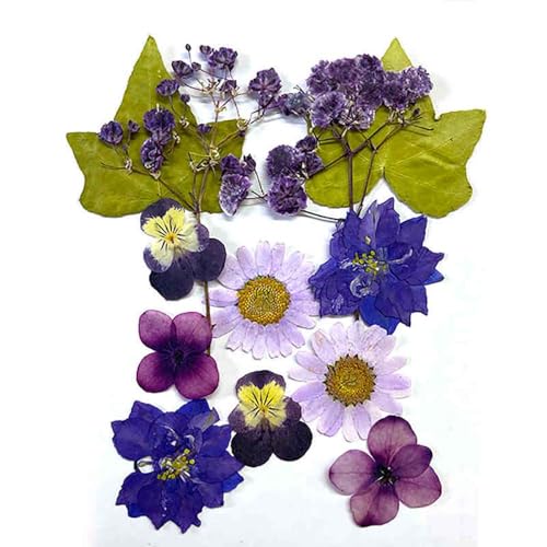 Flores Secas Prensadas Reales para Moldes de Resina miniatura 3
