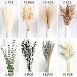 Zoom IMG-2 tongyixin erba della pampa decorazione Zoom IMG-2 tongyixin erba della pampa decorazione