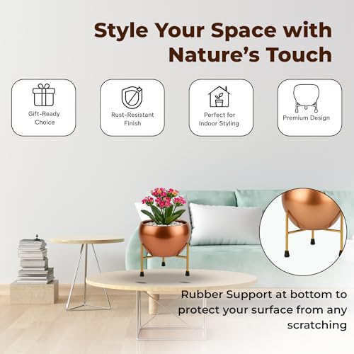 Image of NATURAL EARTH Copper Metal Flower Pot & Stand with Free 1 KG Organic Vermicompost Fertilizer | Decorative Indoor Outdoor Plant Pot | Copper Finish Planter for Home Garden Decor