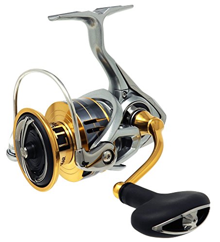Moulinet Daiwa Freams LT 5000 DCXH spinning mer truite carpe et feeder