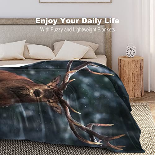 Forest Deer Blankets For Kids Fuzzy Warm Comfy Blanket Soft Print Throw Blanket For Bed Office Sofa Travel(Kids) #TOP3