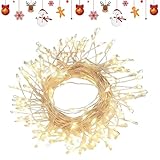 Générique Lichterketten für den Innenbereich, 2,99 m, 8 Modi...