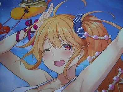 Amazon 花騎士 水着 エピデンドラム誌ウメ サクラ ベルゲニア Pcゲーム Flower Knight Girl フラワーナイトガール Dmm Games イラスト本 アニメ 萌えグッズ 通販