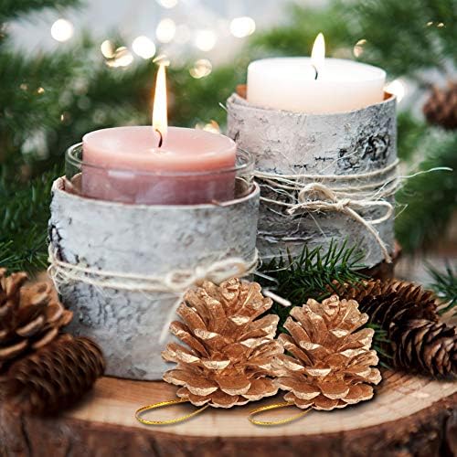 18 Pieces Christmas Natural Pine Cones Decoration,with String Golden Pinecone Christmas Tree Hanging Ornament for Wreath Garlands Decoration Dried Floral Arrangements Gift Tag Christmas