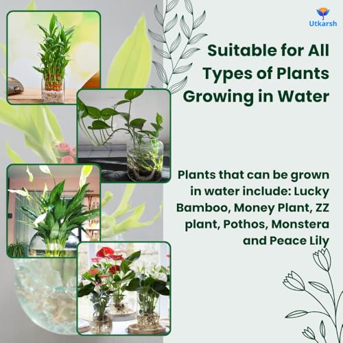 Image of Utkarsh Aqua Plant Tonic - 50 ml, Liquid Fertilizer for Plants Growing in Water | Premium Plant Food & Growth Booster for Lucky Bamboo, Aquatic and Money Plants, Pack of 1