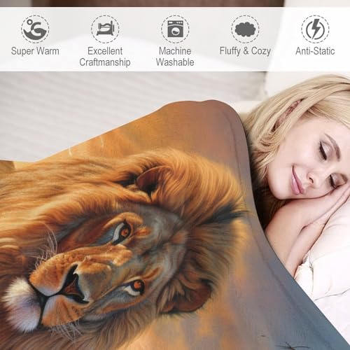Couverture canapé lion chaude flannel contre les frissons du soir