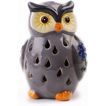 Amazon Com Astraeus Owl Light Decor Solar Animal Light Led Owl Light Landscape Path Light Color Changing For Park Patio Deck Yard Home Pathway Grey Garden Outdoor