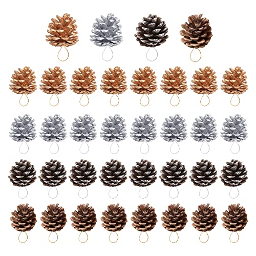Bekecidi 36 Stück Weihnachten Tannenzapfen, Mini Natürliche...