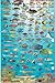 Guam Dive Map & Reef Creatures Guide Franko Maps Laminated Fish Card