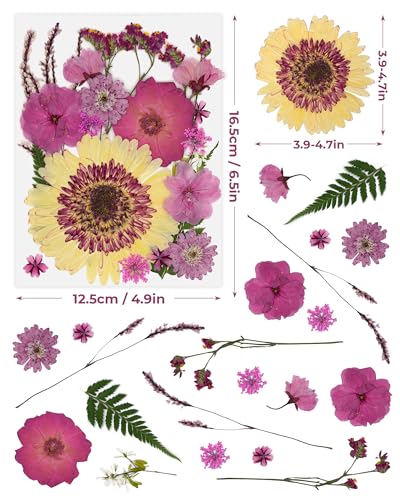 2 Packs de Flores Secas Prensadas para Manualidades miniatura 2