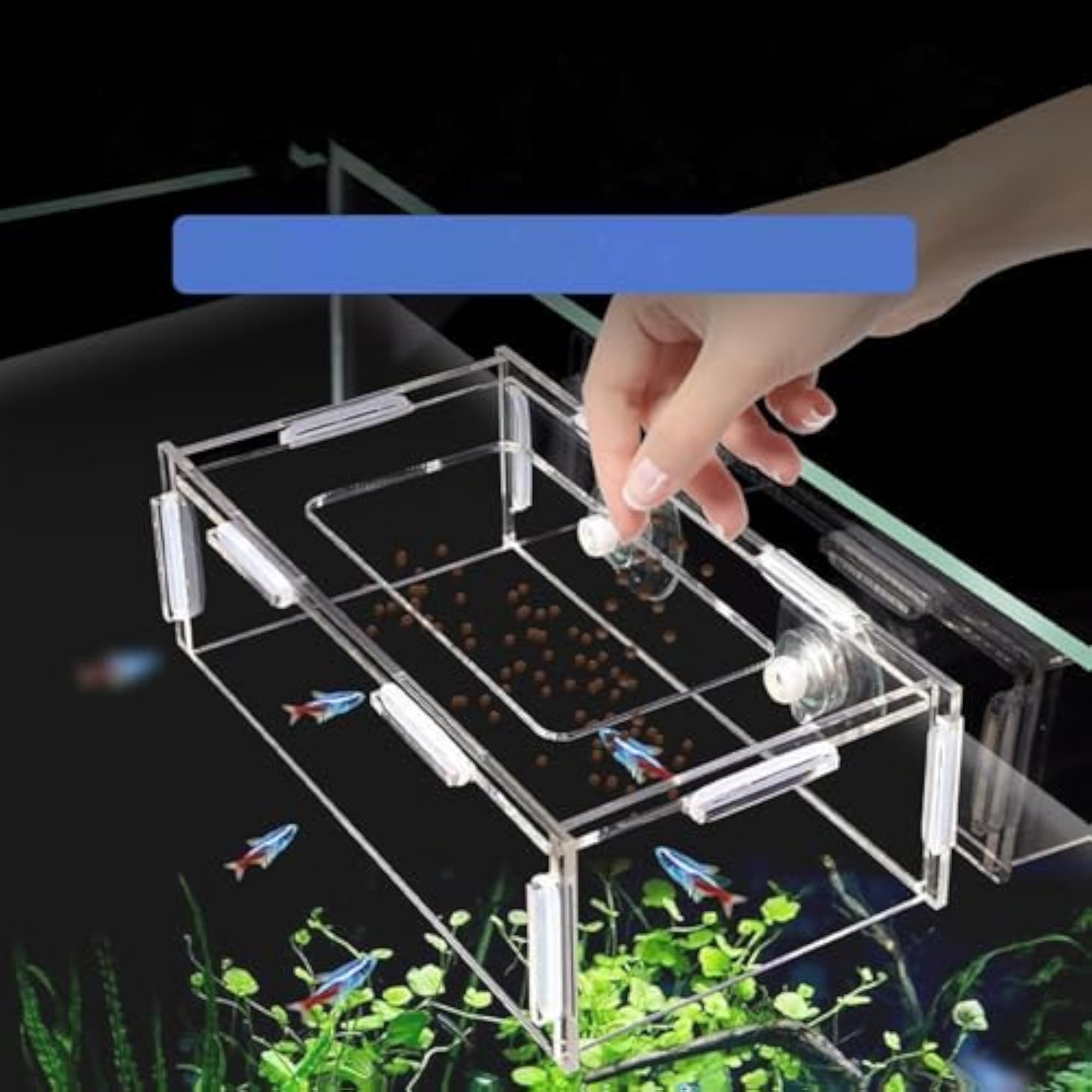 Professional Feeding Dish Tray for Fish Tank XL